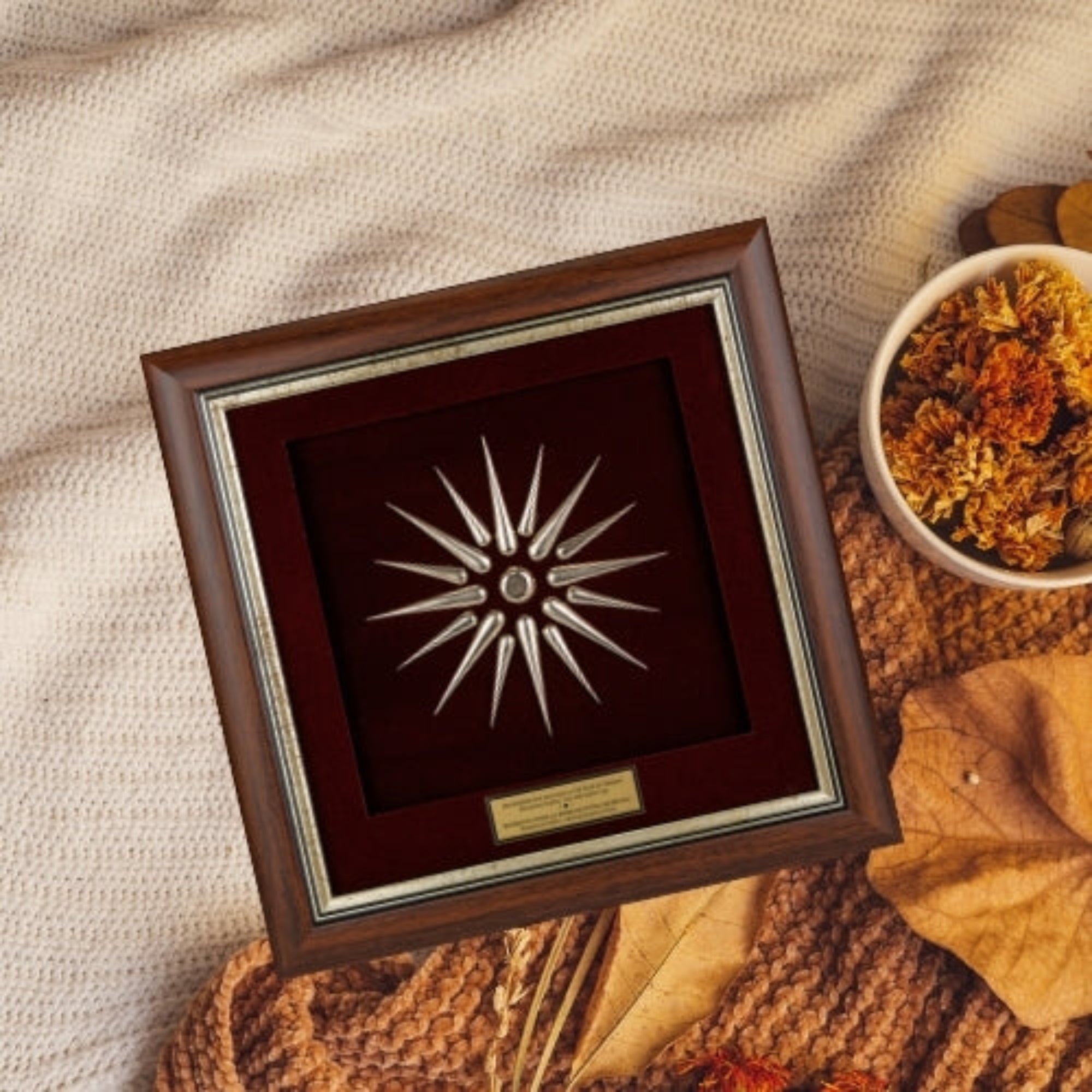 Macedonian Sun – The Star of Vergina